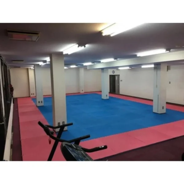 Piso Plancha Eva Tatami 20x1000x1000mm azul/rojo con ensamble. - Imagen 2