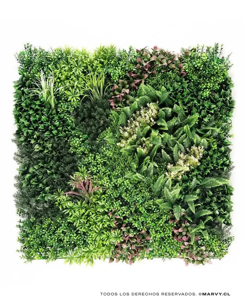 Jardín Vertical 50x50 - Oasis Hera