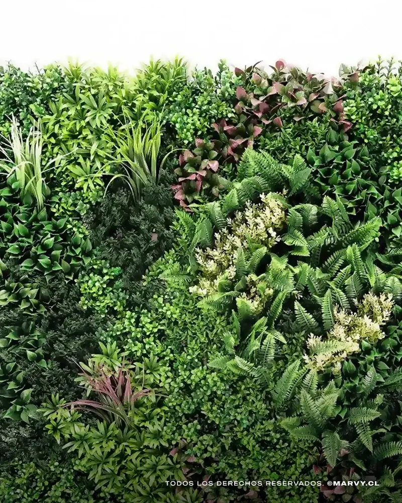 Jardín Vertical 50x50 - Oasis Hera - Imagen 2