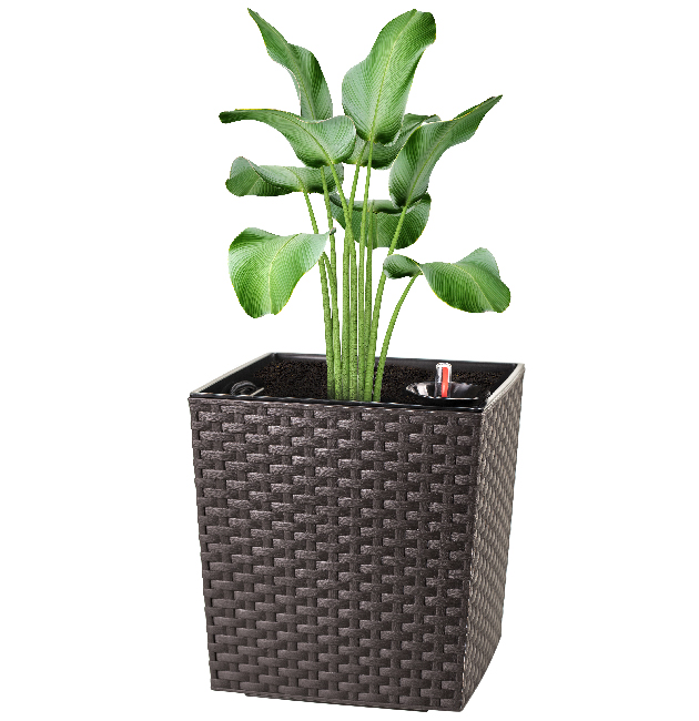 Maceta ? Ratan 25X25X25 Cm. C/Sist Riego Marron