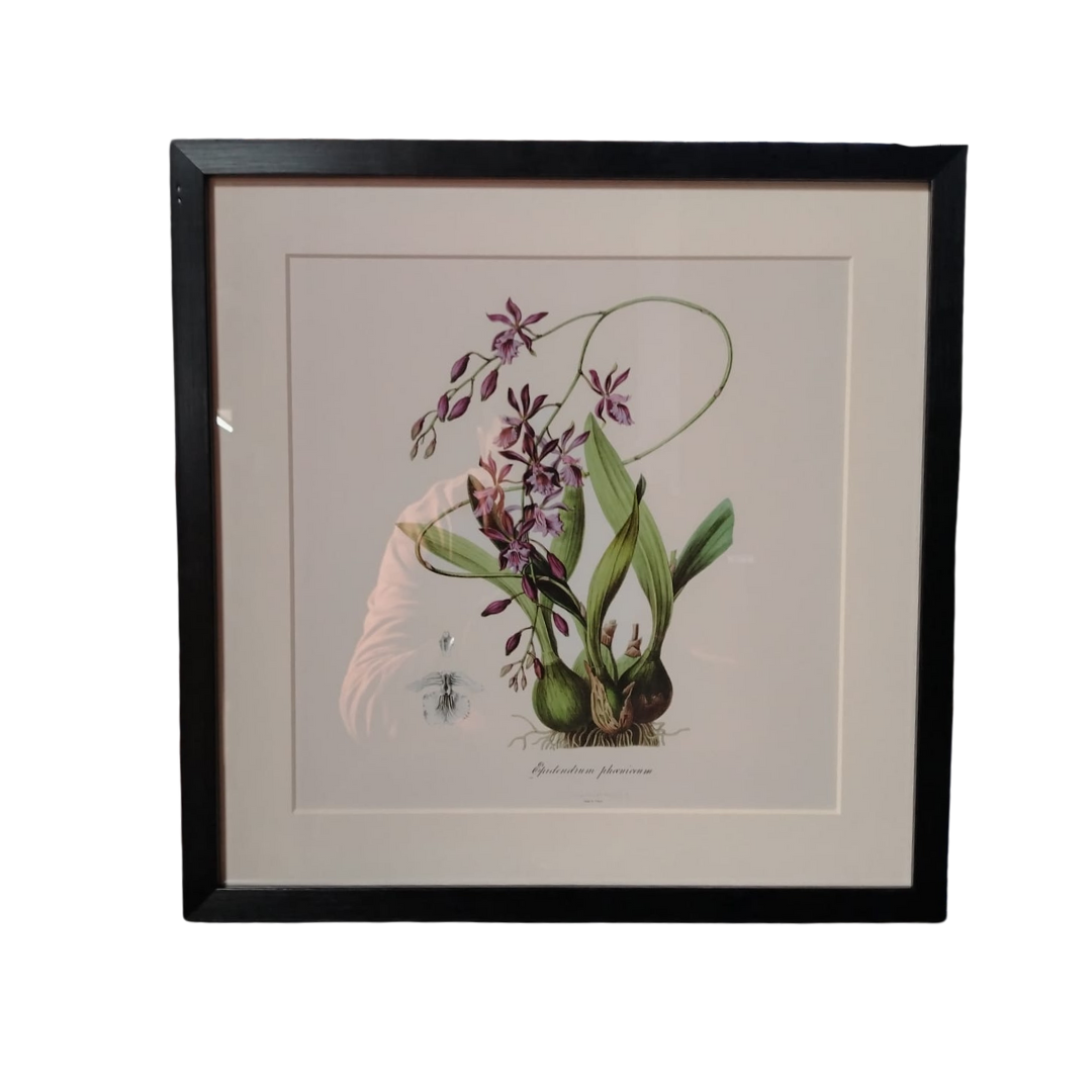 Cuadro Decorativo40*40