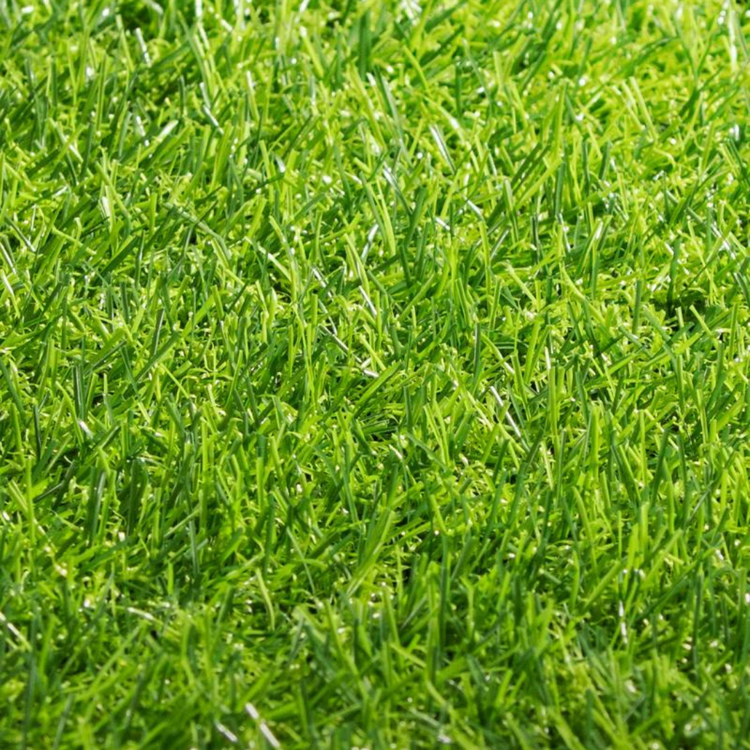 Pasto Sintético Basic 35 mm x 2 m Ancho Rollo 25 m (50 m²)