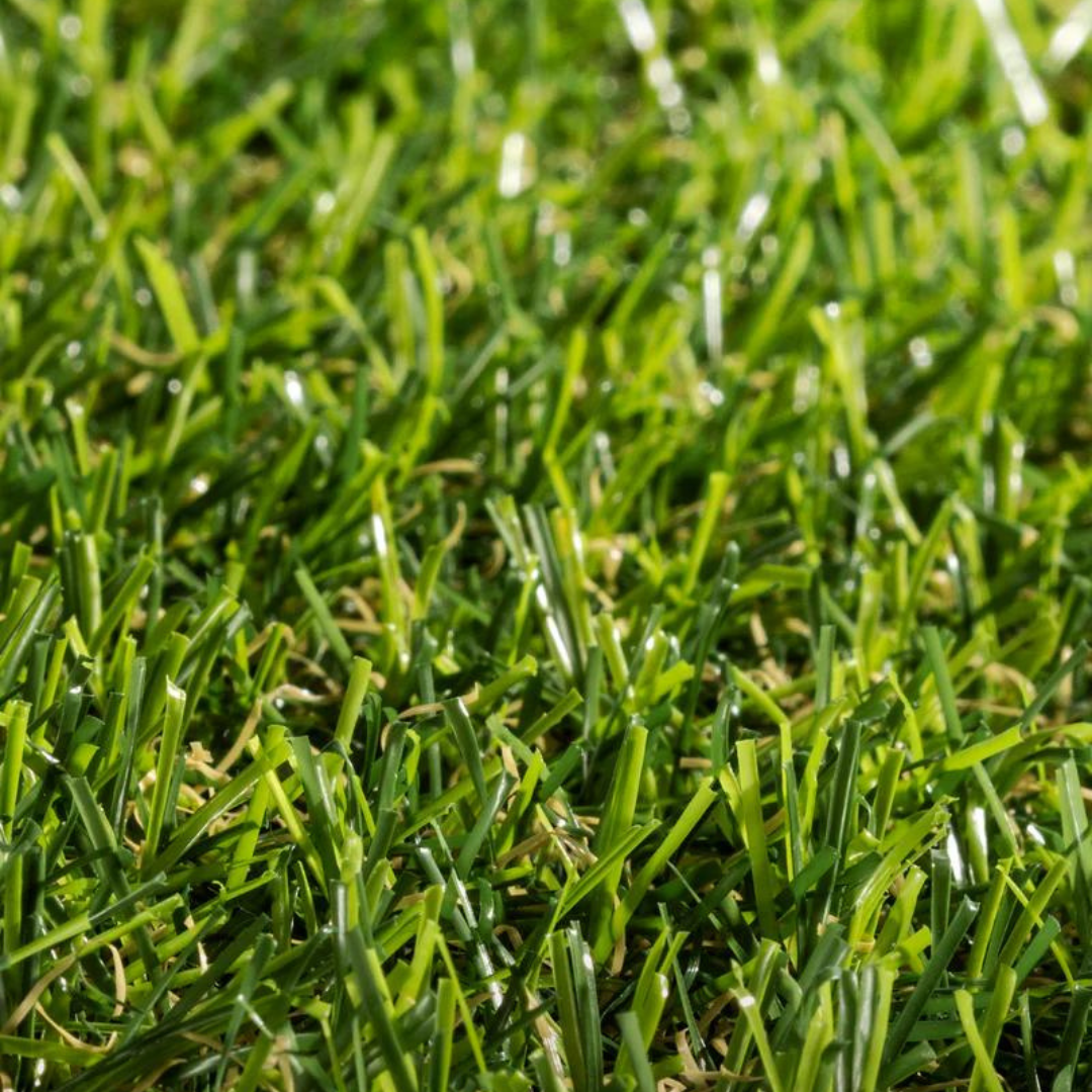 Pasto Sintético Basic Prime 15 mm x 2 m Ancho Rollo 25 m (50 m²)