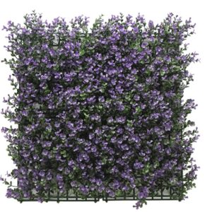 Jardín Vertical 50x50 - Buxus Violeta