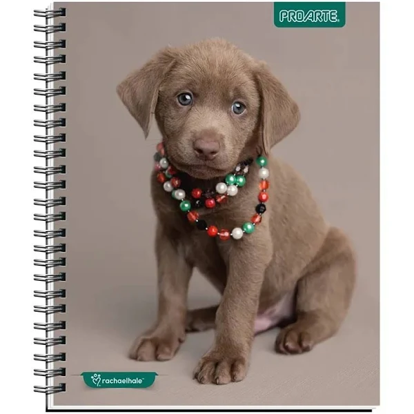 CUADERNO PROARTE UNIVERSITARIO 100H TED/ED 7MM ANIMALES ADORABLES