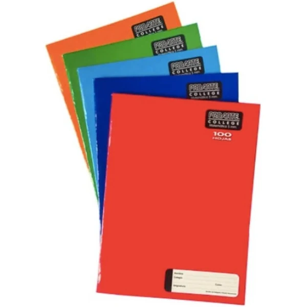 CUADERNO PROARTE COLLEGE 100H 7M LISO