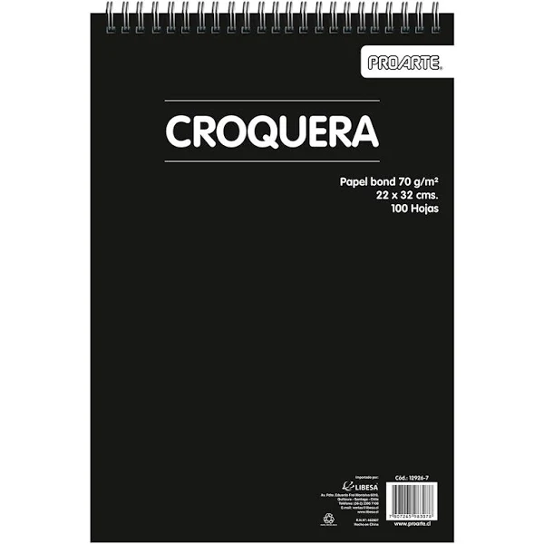 CROQUERA PROARTE 100H 22X32 CM